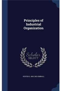 Principles of Industrial Organization