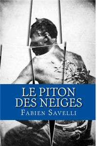 Le Piton Des Neiges