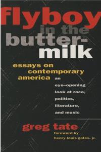 Flyboy in the Buttermilk: Essays on Contemporary America