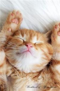 Cute Sleeping Kitten Workbook of Affirmations Cute Sleeping Kitten Workbook of Affirmations