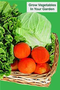 Grow Vegetables In Your Garden