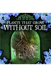 Plants That Grow Without Soil