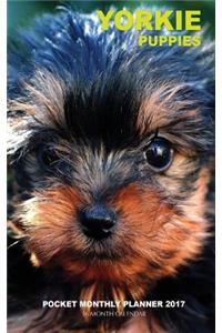Yorkie Puppies Pocket Monthly Planner 2017