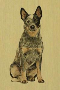 Australian Cattle Dog: Artified Pets Dog Journal/Notebook/Diary