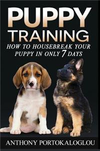 Puppy training 2