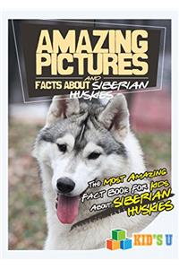 Amazing Pictures and Facts About Siberian Huskies: The Most Amazing Fact Book for Kids About Siberian Huskies (Kids U)