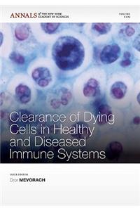 Clearance of Dying Cells in a Healthy and Diseased  Immune Systems