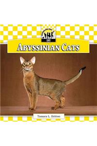 Abyssinian Cats