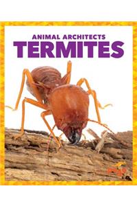 Termites