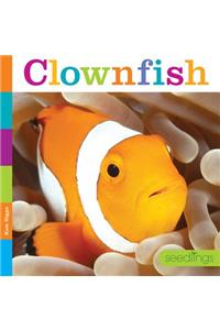 Seedlings: Clownfish