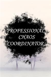Professional Chaos Coordinator