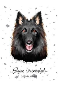 Belgian Groenendael 2020 Planner