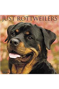 Just Rottweilers 2018 Wall Calendar (Dog Breed Calendar)