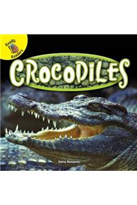 Crocodiles