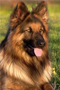 German Shepherd Journal