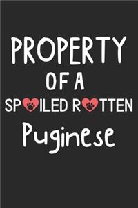 Property Of A Spoiled Rotten Puginese