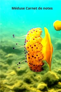 Méduse Carnet de notes