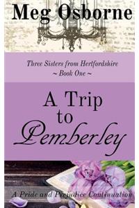 Trip to Pemberley