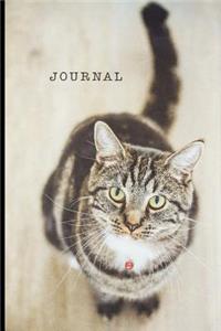 Journal
