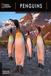 Cal 2020-National Geographic Penguins Wall