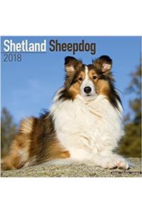 Shetland Sheepdog Calendar 2018