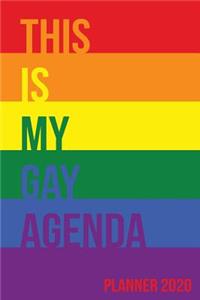 This Is My Gay Agenda