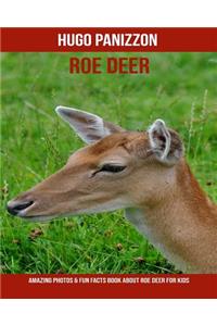 Roe Deer: Amazing Photos & Fun Facts Book about Roe Deer for Kids