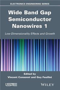 Wide Band Gap Semiconductor Nanowires 1