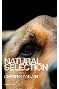 Natural Selection
