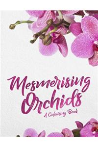 Mesmerising Orchids