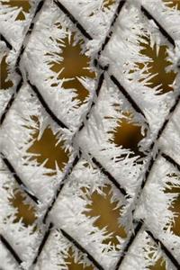 Chain Link Fence Covered in Frost Journal