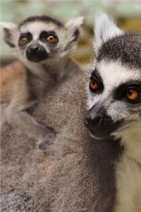 Mama and Baby Ring Tailed Lemurs Journal