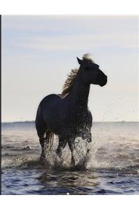 Horse in the Sea