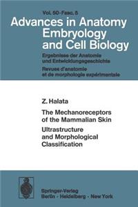 The Mechanoreceptors of the Mammalian Skin Ultrastructure and Morphological Classification