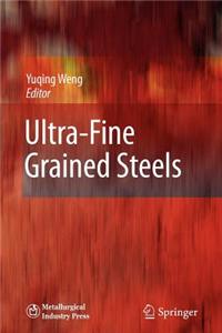Ultra-Fine Grained Steels