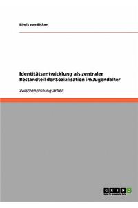Identitätsentwicklung als zentraler Bestandteil der Sozialisation im Jugendalter