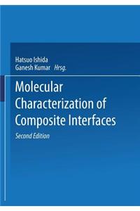 Molecular Characterization of Composite Interfaces