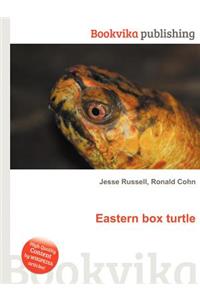 Eastern Box Turtle