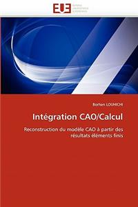 Intégration cao/calcul