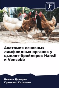 Анатомия основных лимфоидных органов у цы