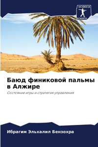 Баюд финиковой пальмы в Алжире