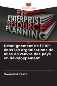Désalignement de l'ERP dans les organisations de mise en oeuvre des pays en développement