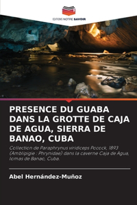 Presence Du Guaba Dans La Grotte de Caja de Agua, Sierra de Banao, Cuba