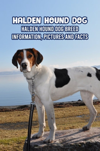 Halden Hound Dog