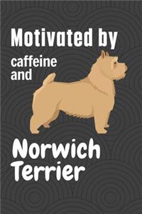 Motivated by caffeine and Norwich Terrier