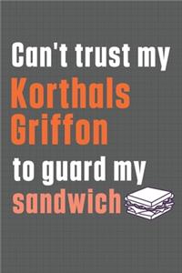 Can't trust my Korthals Griffon to guard my sandwich