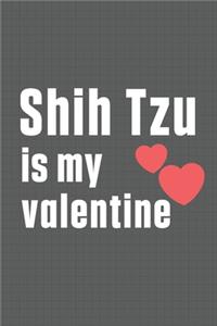 Shih Tzu is my valentine