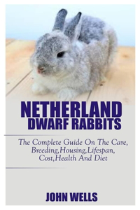 Netherlands Dwarf Rabbits