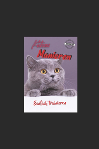 Katzen Manieren-trainieren