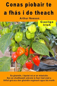 Conas piobair te a fhás i do theach. Sa ghairdín, i bpotaí nó ar an mbalcóin